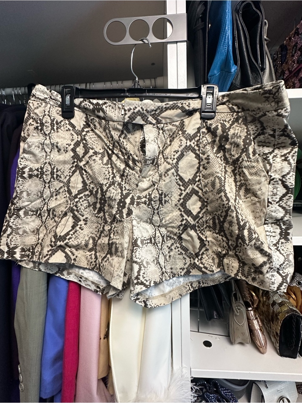 Women's Snake Print Shorts  JLo